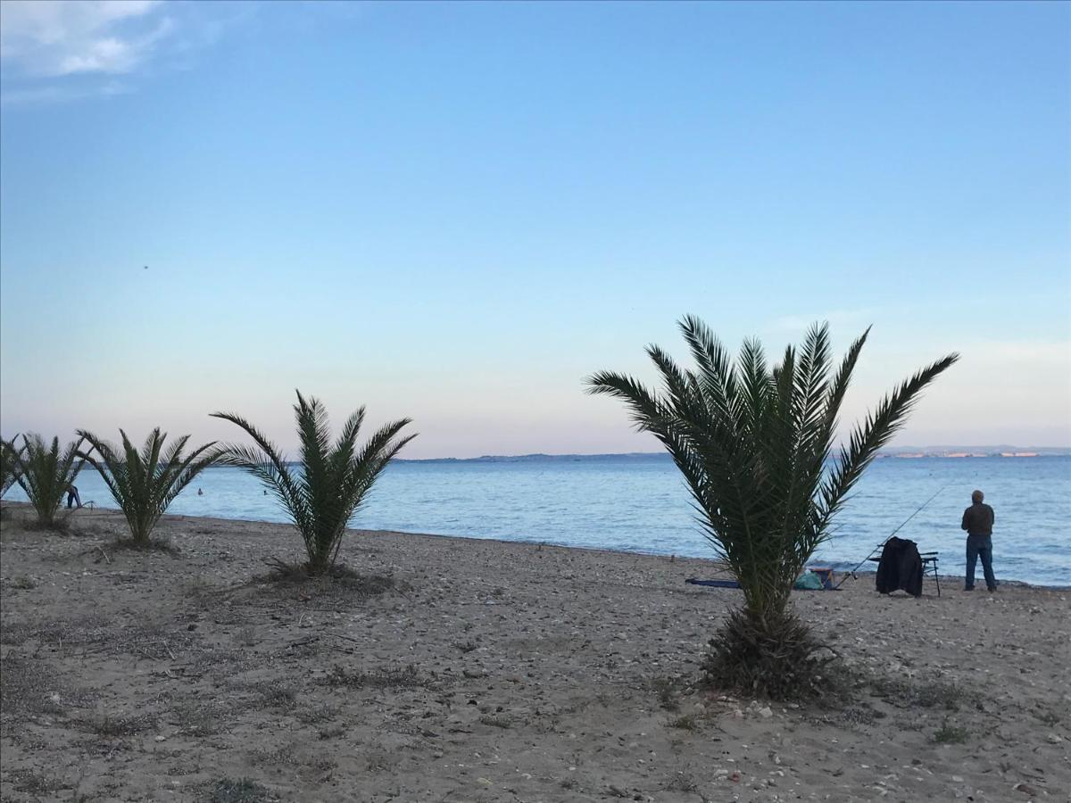 Park Apartment Παραλία Διονυσίου Εξωτερικό φωτογραφία
